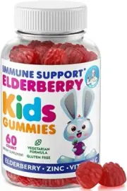 Elderberry Gummies for Kids and Toddlers - Natural Immune System Booster and