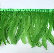 YUMAO Rooster Feathers Trim Ribbons Height 30-35cm/12-14 Pheasant Feathers for Crafts Carnival Wedding Decoration Dress Skirt Strips 0217 (Color : Apple Green, Size : 10 Meters)