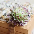 2pcs Mini Artificial Succulent Plants Realistic Simulated Floral Plants Home