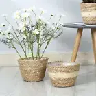 Home Decoration Plant Containers Planting Accessory Flower Pots Plant Basket