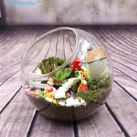 在飛比找蝦皮購物優惠-DARNELLTW透明玻璃球花瓶,斜透明硼硅玻璃花瓶,清除硼