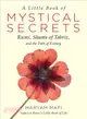 A Little Book of Mystical Secrets ─ Rumi, Shams of Tabriz, and the Path of Ecstasy