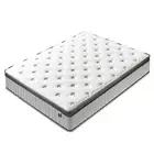 Zinus Queen Pocket Spring Mattress Euro Top Pillow Top Zone