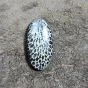 Designer black fossil coral gemstone oval shape top quality cabochon for pandent