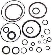 Cylinman Power Trim and Tilt Oring and Seal Kit Fit for Johnson Evinrude 435567 433816 25-35-40-50 HP 1989-2004#0435567, 0339849, 0333496, 0912298 Rebuild Kit
