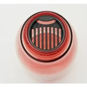 【現貨】日本進口 SKATER 米奇 米妮 透明水瓶 水壺 500ml 冷水壺