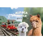 Save 5.88%! Alpaca World with Gangchon Rail Park One Day Tour