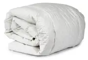 Single Feather and Down Quilt