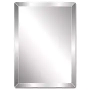 Pro Safe Glass Frameless 22" x 30" Rectangle Mirror