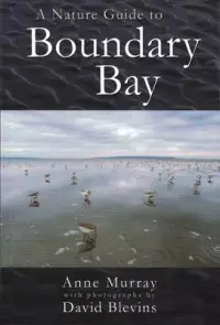 在飛比找博客來優惠-A Nature Guide to Boundary Bay