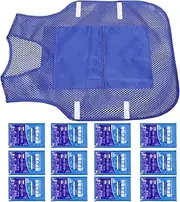 GANAZONO 1Set Cooling Vest with Ice Packs Summer Reusable Waistcoat for Outdoor Office and Kitchen Use Design for All Body Innovative and Comfortable Cooling Clothes