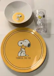 Pottery Barn Kids Thanksgiving PEANUTS SNOOPY WOODSTOCK 3 Pc SET Plate Bowl Cup