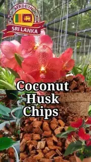 Coconut Husk Chips Orchids Anthurium Growing Dry Organic Fiber Free Shipping.