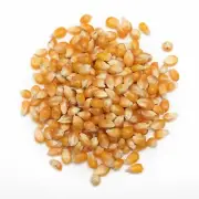 4kg Bulk Premium Popping Corn Kernels best for popcorn machine or stove top
