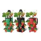 Wall Hanging Tomato Grow Bag Felt Hanging Strawberry Growing Bag Vegetable