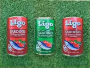 Ligo Sardines in Tomato Sauce 425g/15oz (3 cans)