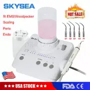 FDA Dental Ultrasonic Piezo Scaler Compatible Woodpecker EMS + 2 Dosing Bottles