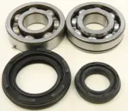 NEW ALL BALLS CRANKSHAFT BEARING/SEAL KIT- 24-1034- YAMAHA/BANSHEE