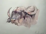 Buffalo , Animal, Watercolor artwork, Handmade, Original painting on paper