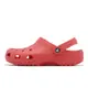 Crocs Classic Clog 卡駱馳 霓虹西瓜紅 洞洞鞋 男鞋 女鞋 布希鞋 基本款 ACS 100016VT