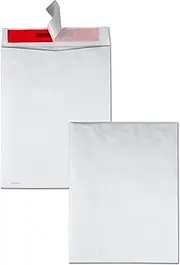 Quality Park R2420 Advantage Flap Stik Tyvek Mailer, 10 x 13, White (Box of 100)