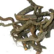 Organic Horseshoe Vitex Root Whole Pure Indian Herb Nergundi Root Whole