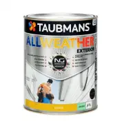 taubmans 1l accent gloss all weather exterior paint