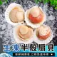 生凍半殼扇貝-500G/包【歐嘉嚴選】全家799免運 蝦幣10倍送 餐廳供應 批發