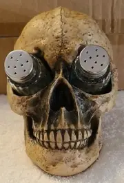 SKULL DEADLY DEVOURINGS GOTHIC FANTASY FIGURINE SALT AND PEPPER SHAKER SET
