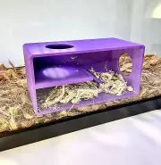 Reptile Amphibian Cave Against Glass Viewing Hide Enclosure Decor Reptile Tank