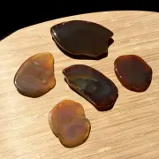 5 Agate Geode Stones Polished Crystals Mixed Natural Brown Colors End Cut Slices