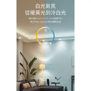 飛利浦 PHILIPS PW002 Wi-Fi WiZ 智慧照明 1M全彩延伸燈帶 LED燈帶