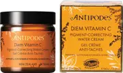 Diem Vitamin C Pigment-Correcting Water Cream - 60mL