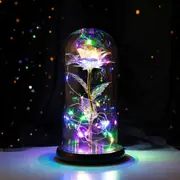 Eternal Enchanted Forever Preserved Rose in Glass Dome Sparkly Valentine's Gift