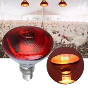 RED HEAT BULB LAMP RUBY Light Bulbs 250W Poultry Chick Brooder Lambs Livestock