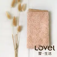 在飛比找博客來優惠-Lovel 3M頂極輕柔棉超細纖維抗菌方巾榛果棕