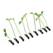 10pcs alligator hair clips sprout barrette Hair Clips Plant Bean Sprout Hairpins