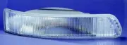 Direction Indicator VIGNAL 119920 for IVECO TRAKKER I 12.9 2004-2007