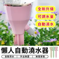 在飛比找momo購物網優惠-【STAR CANDY】懶人自動澆水器 3入組 免運費(自動