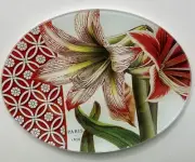 Amaryllis Soap Trinket Dish Oval Glass 6 1/4”x 4 3/4" Michael Design Works NEW
