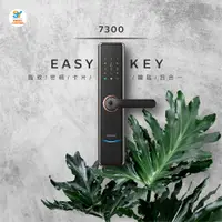 在飛比找蝦皮購物優惠-公司貨 原價$22000 飛利浦PHILIPS 電子鎖 73