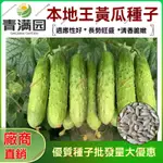 青滿園🥬黃瓜種子🥬不搭架摘不敗水果黃瓜種子節節瓜早熟高產小黃瓜籽四季陽臺盆栽蔬菜種子菜種子盆栽植物蔬菜青菜水果