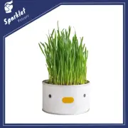 PURROOM Cat/Kitten Hairball Remedy Treat Cat Grass AU STOCK