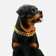 Heavy Duty Dog Chain Collar Puppy Choker Cuban Link Stainless Steel Pet Necklace