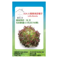 在飛比找momo購物網優惠-【蔬菜工坊】A34.火鳳凰萵苣種子0.9克(約780顆)