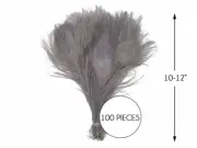 100 Pieces - Silver Grey Bleached and Dyed Tails Peacock Feathers bulk 10-12"