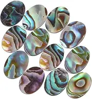 [KALLORY] 12pcs Flat Back Abalone Shell Cabochons No Beads for DIY Jewelry Making Unique Patterns Safe Natural Material for Earrings Necklaces and Bracelets
