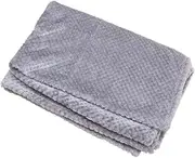 Toddmomy 1pc Pet Mat Plush Throw Blankets for Couch Puppy Blankets for Litter Plush Blankets Pet Bed Cover Plush Puppy Blanket Car Blanket Winter Blankets Warm Throw Blankets for Winter