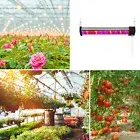 Led Growth Light High Brightness Encourage Budding Growth Light Full Spectrum