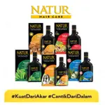 NATUR SHAMPOO TONIC EXTRACT GINGSENG DAN OLIVE OIL